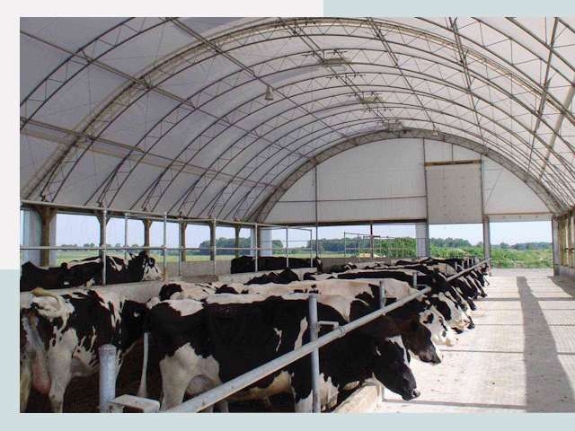 Тентовые коровники в Лысьве